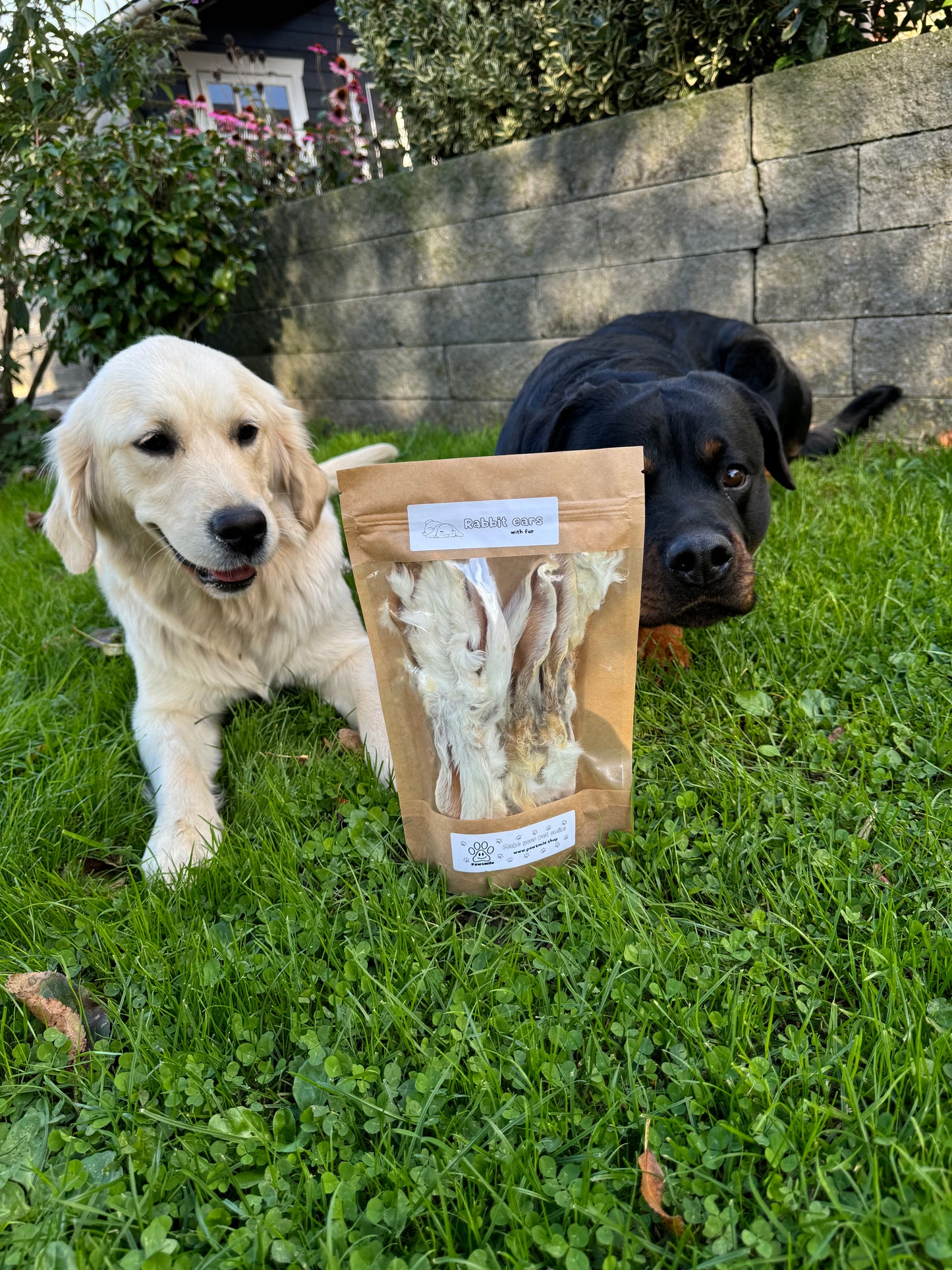 Konijnenoren snacks