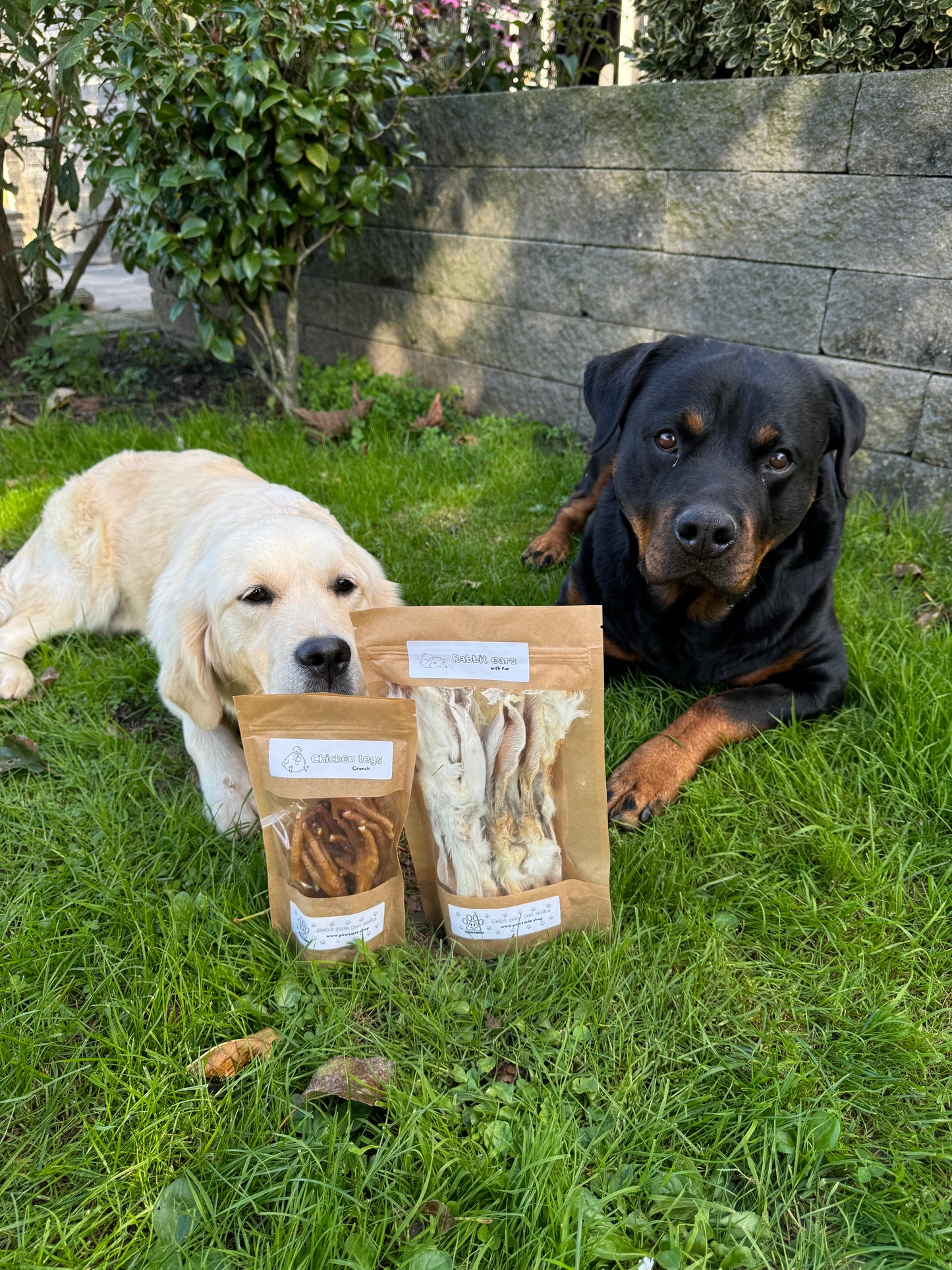 Konijnenoren snacks