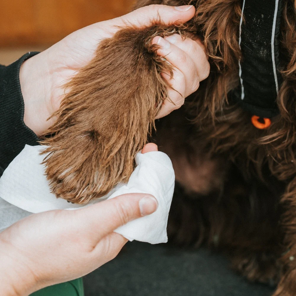 Bamboo Travel Wipes - Unscented - 20 Pack