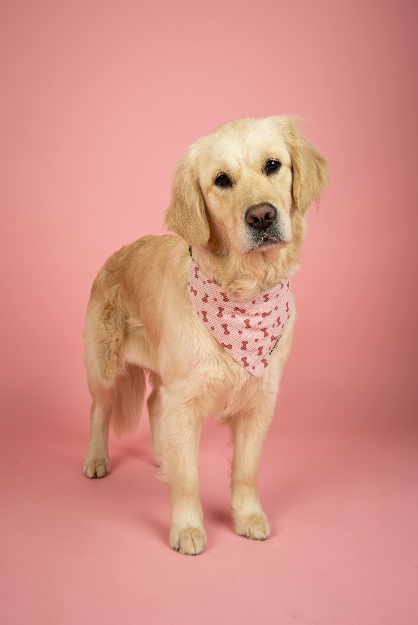 Coquette Paws – Roze Ribbel Bandana met Strikjes