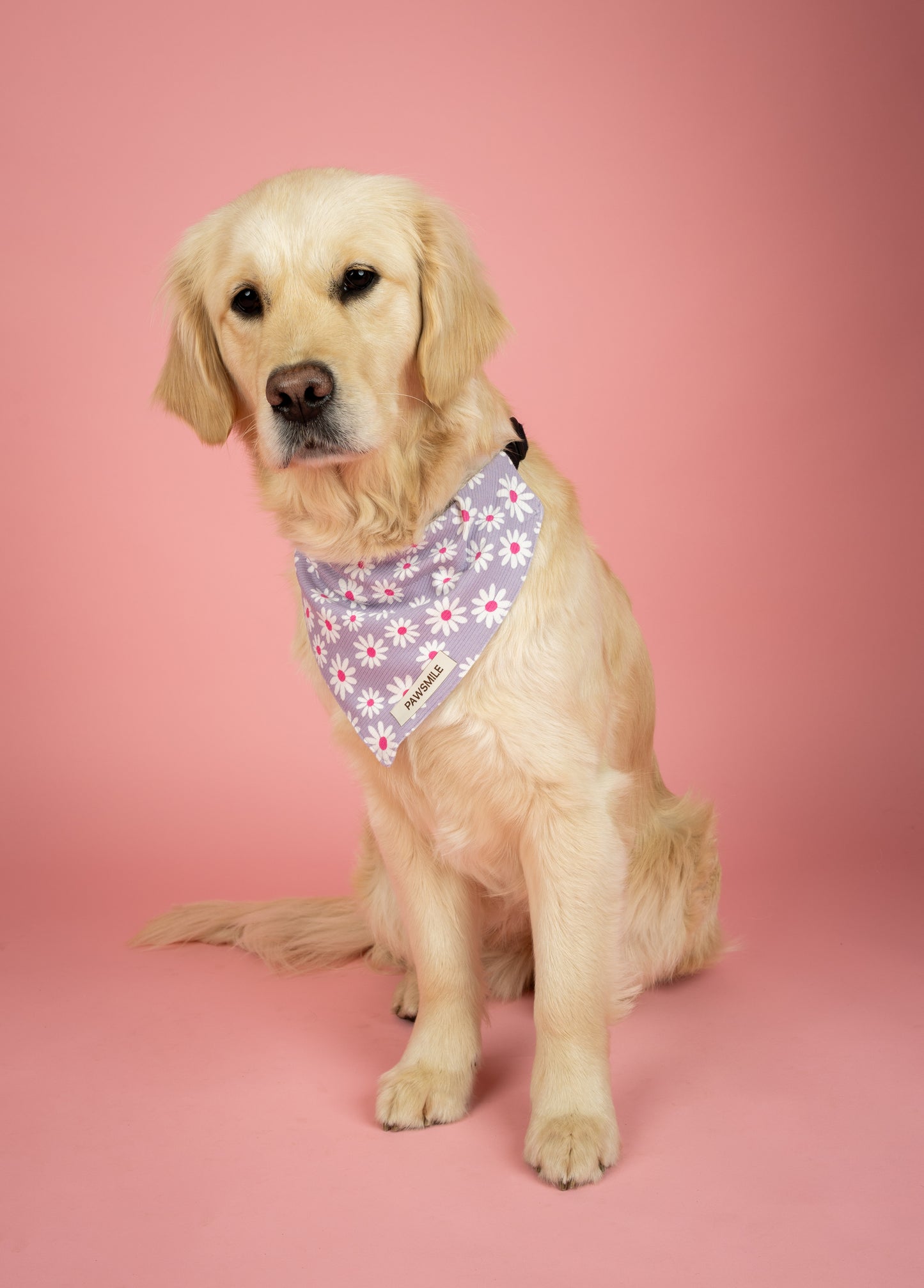 Daisy Dream – Lichtpaarse Ribstof Bandana met Madeliefjes