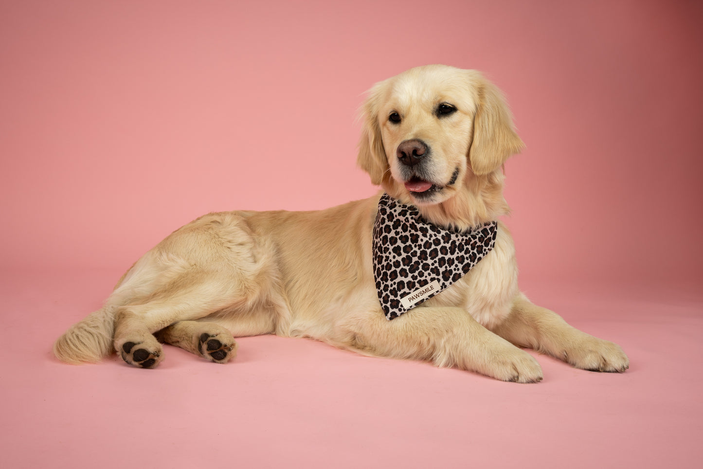 Roar and Shine Scrunchie – Scrunchie met Panterprint