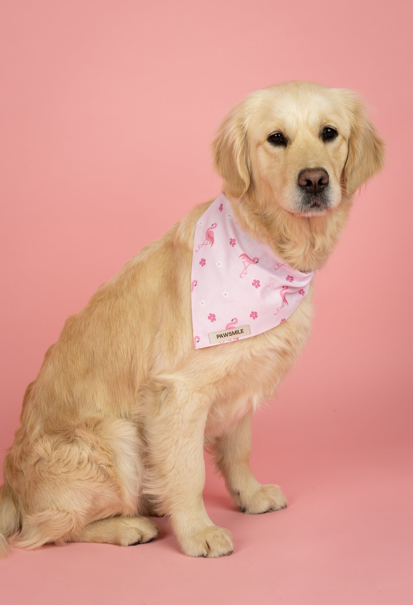 Paradise Pups – Roze Bandana met Flamingo's