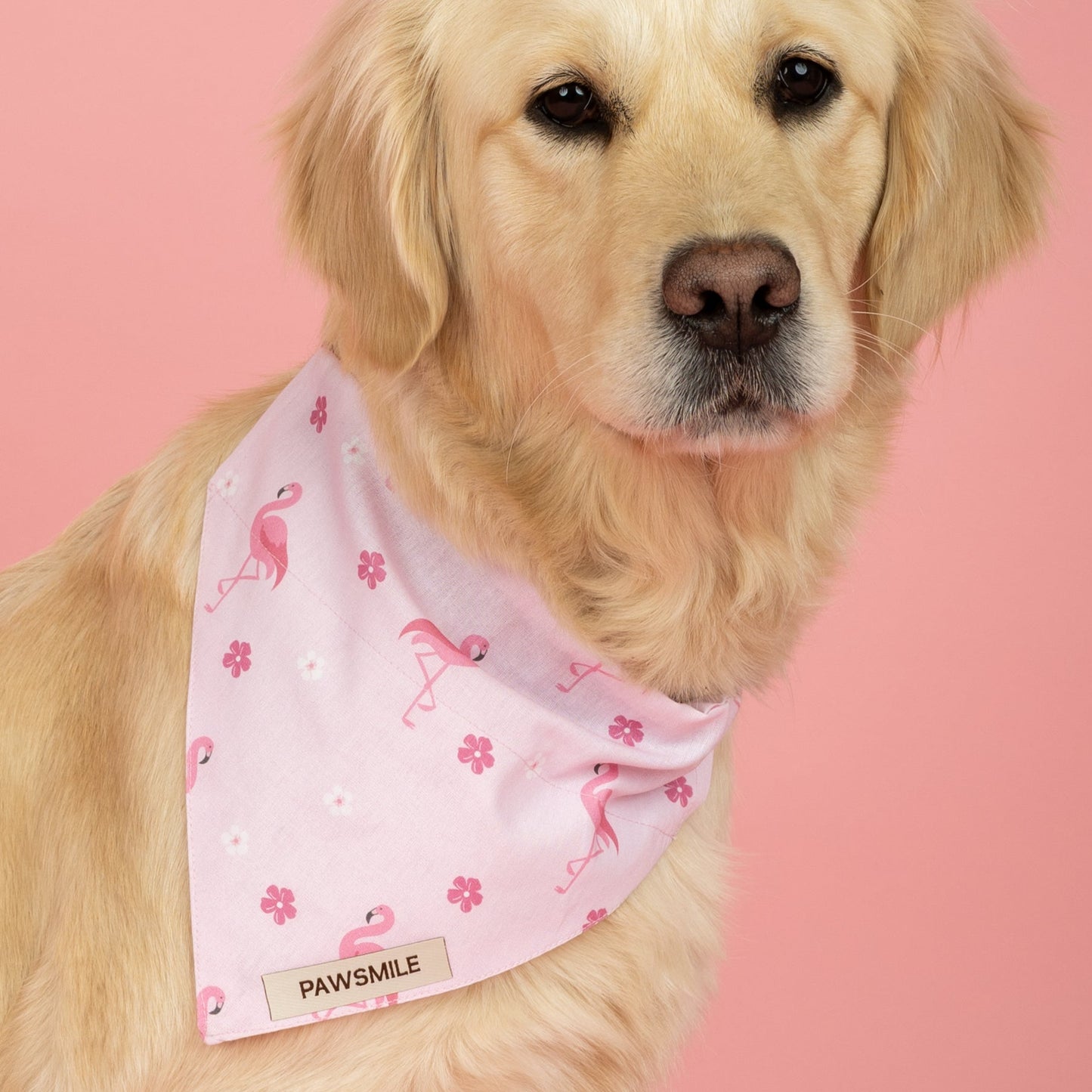 Paradise Pups – Roze Bandana met Flamingo's