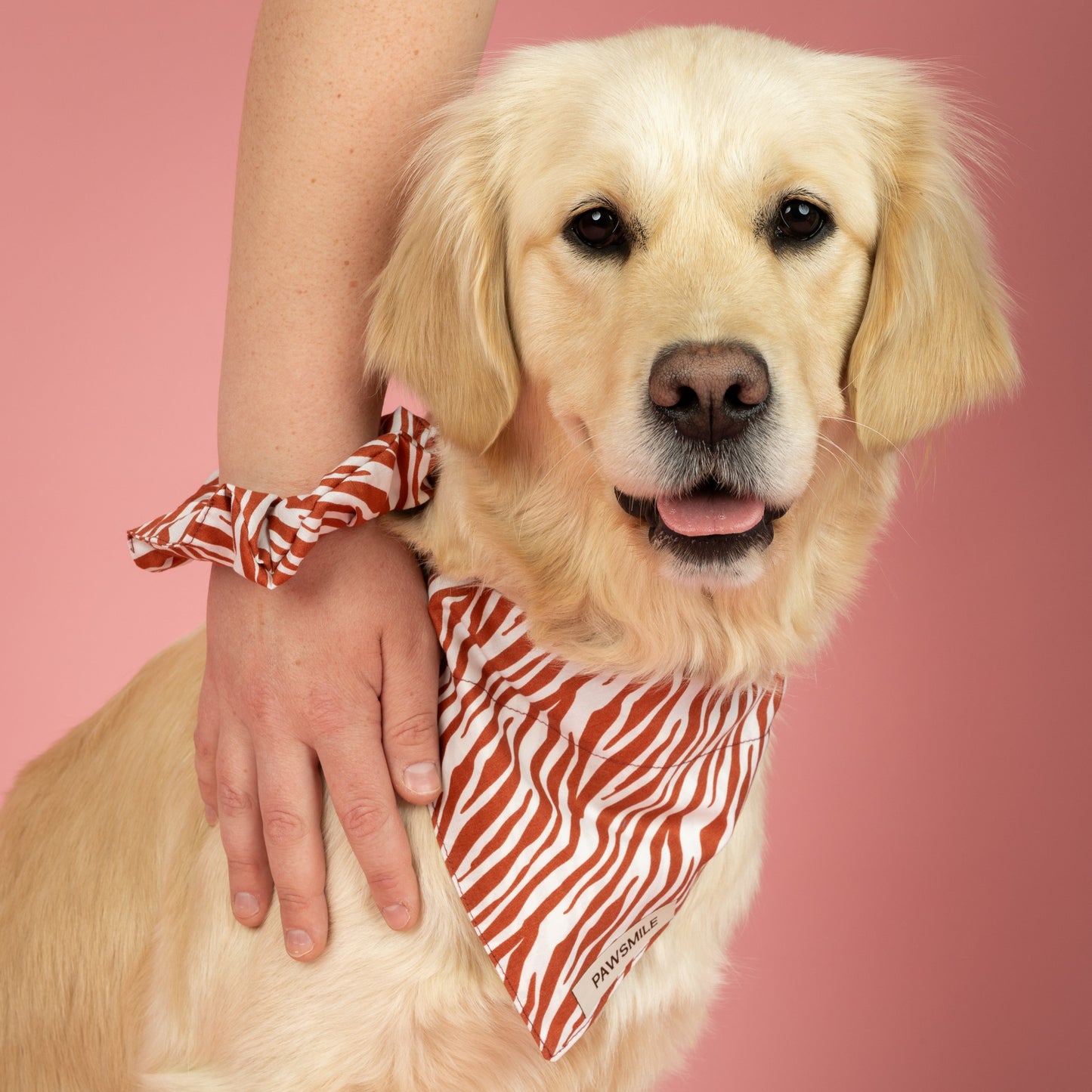Wild Whiskers – Bandana met Terracotta Print