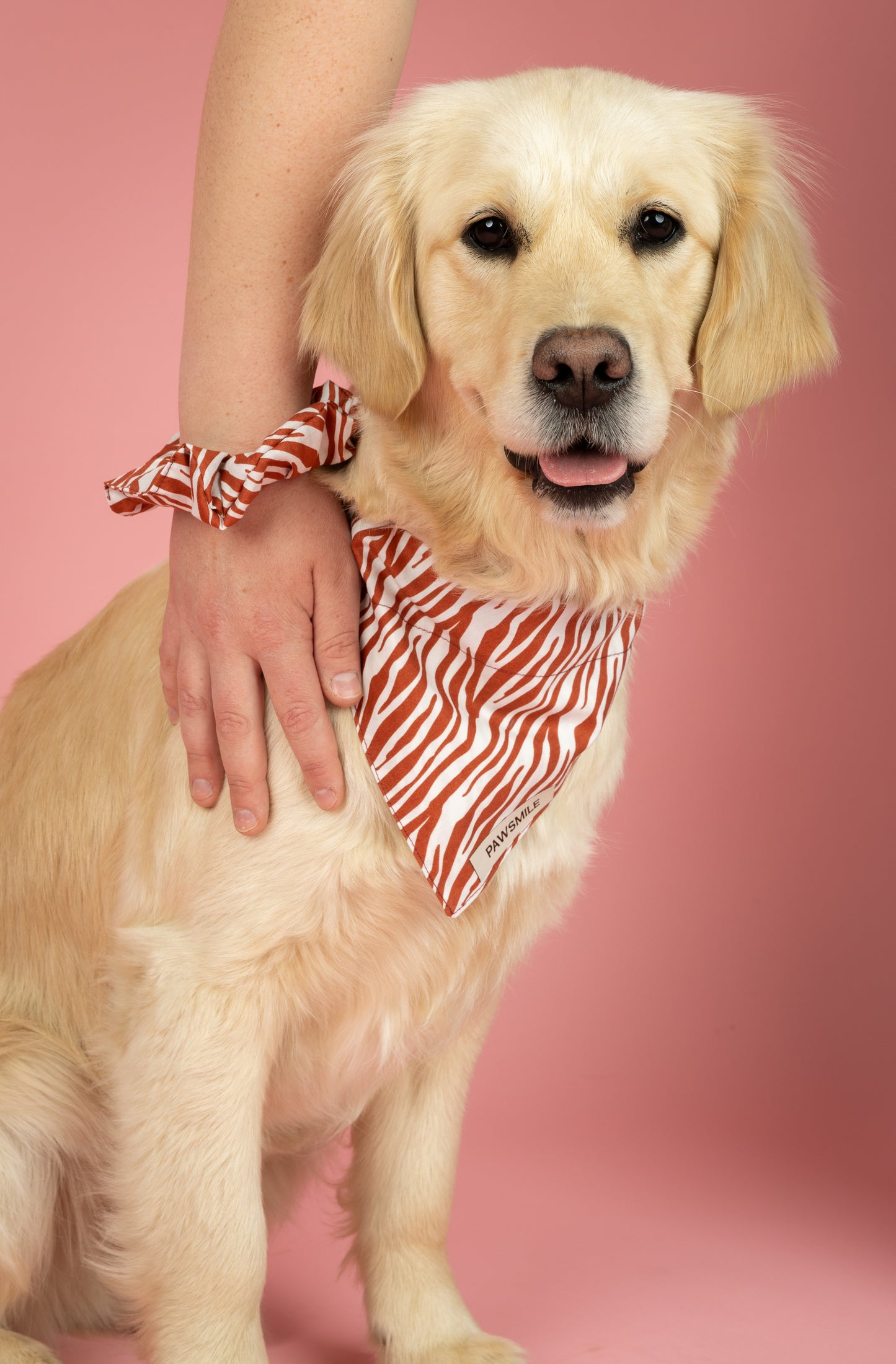 Wild Whiskers Scrunchie – Scrunchie met Terracotta Print