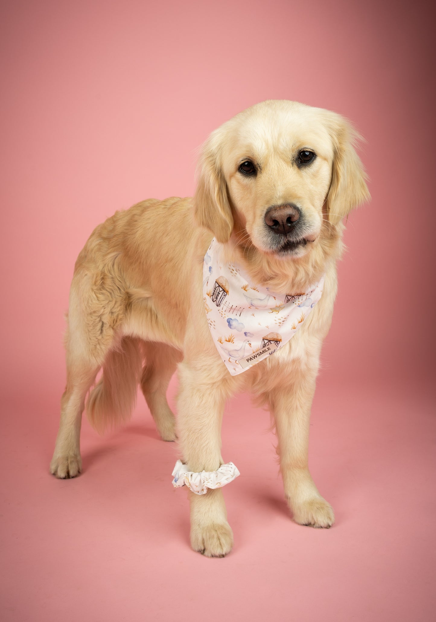 Farm Fresh – Witte Bandana met Gansjes en Boerderijtje
