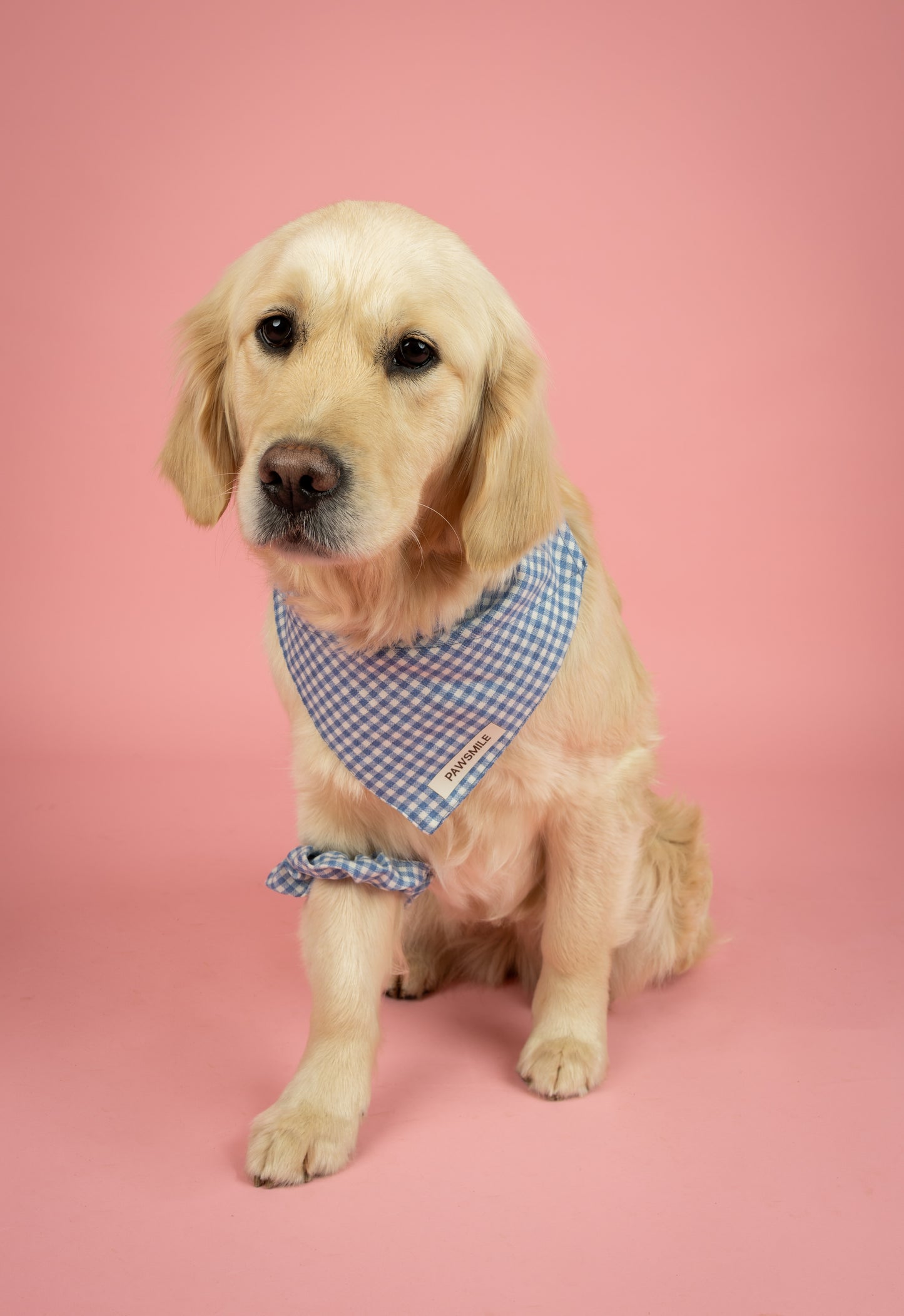 Blueberry Picnic – Blauwe Geruite Bandana