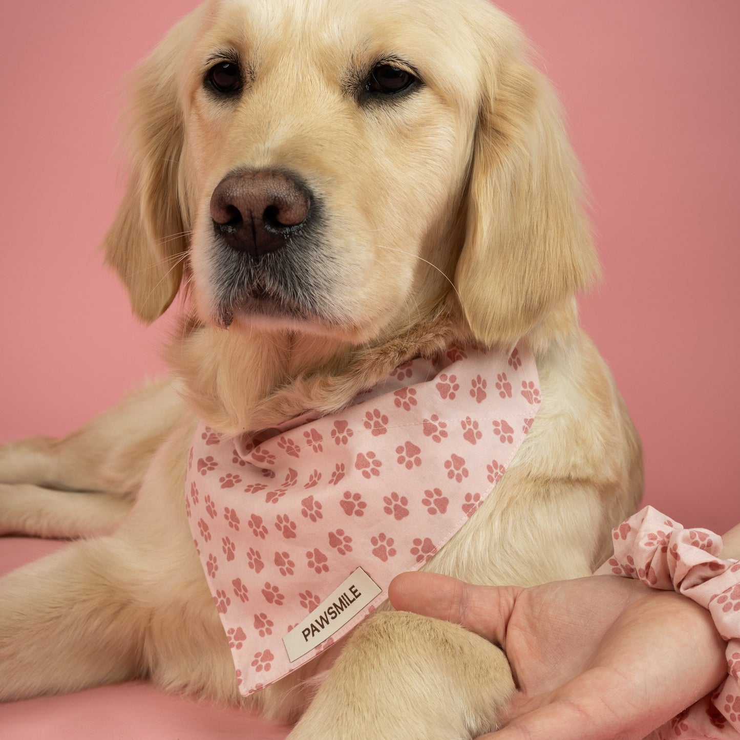 Paw-some Pink – Roze Bandana met Roze Pootafdrukjes