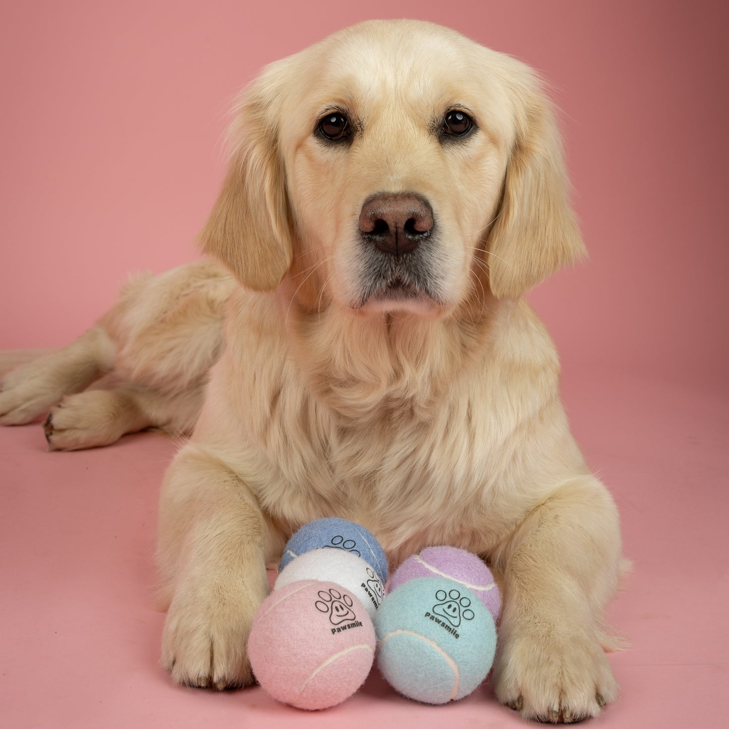 Tennisballen - Rocky's Favo's
