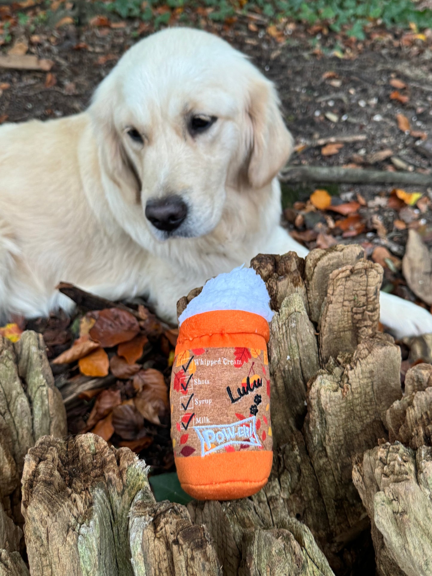 Puggin spice latte hondenspeeltje