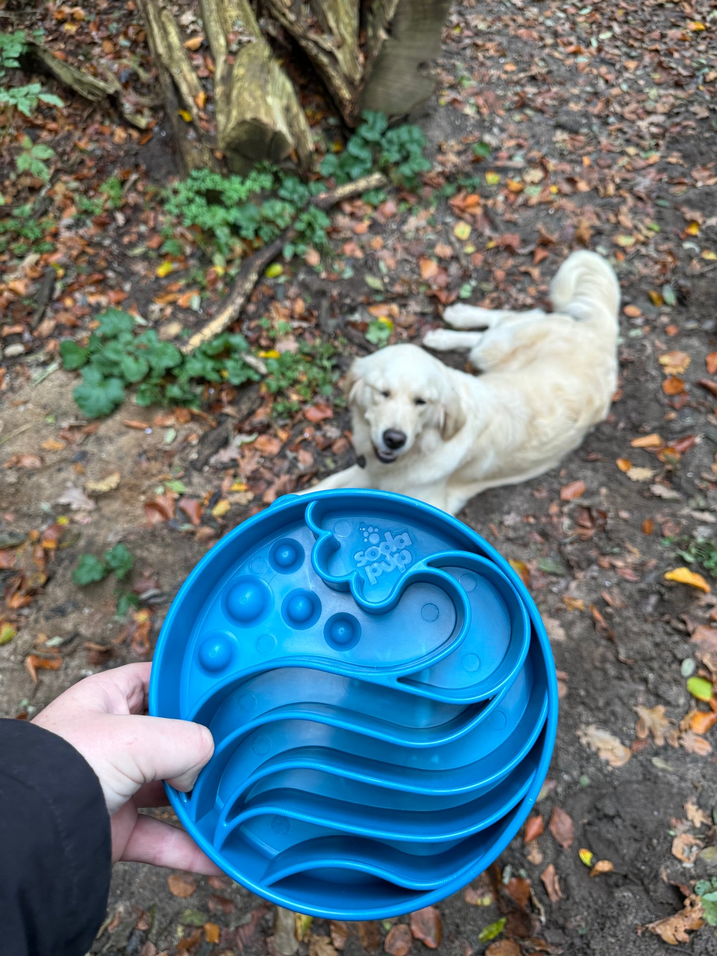 De grote golf - slowfeeder