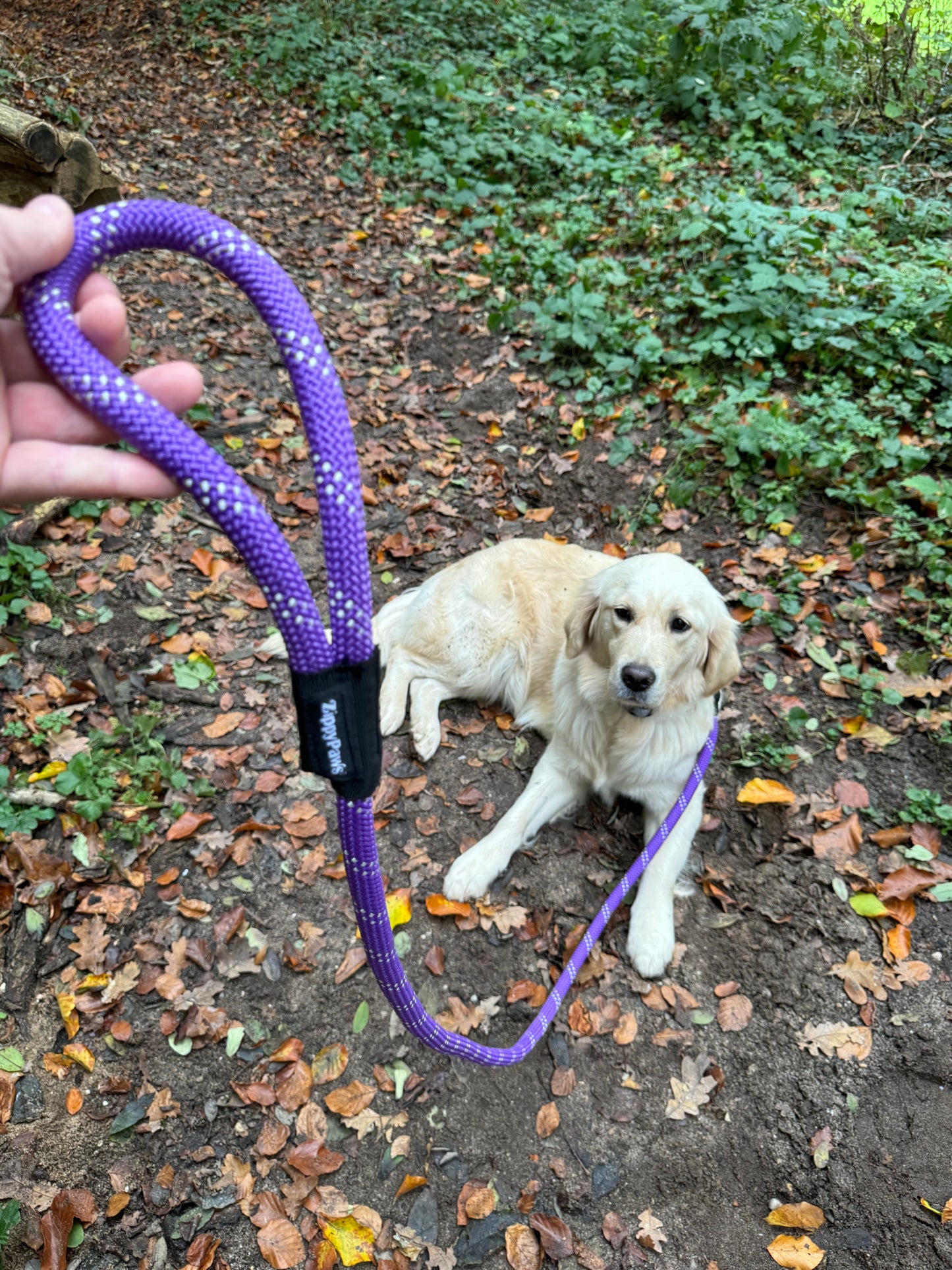 Hondenriem climbing rope - Paars
