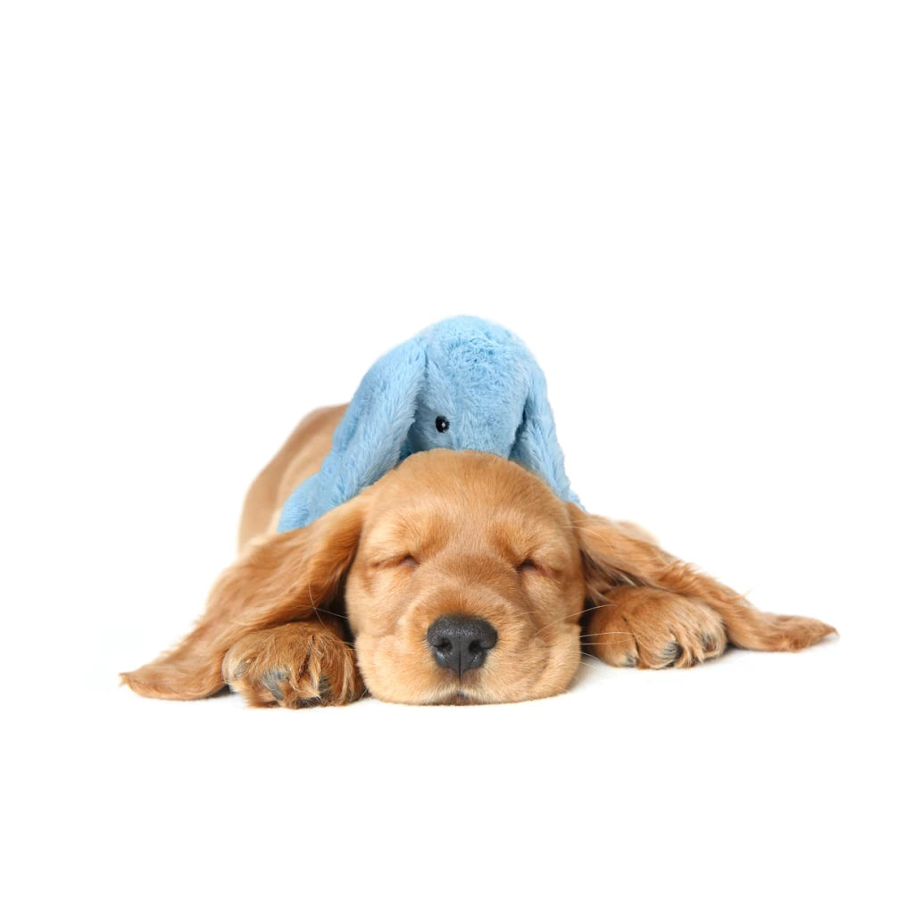Cozy hondenspeeltje - Kalmerend en anti-stress!