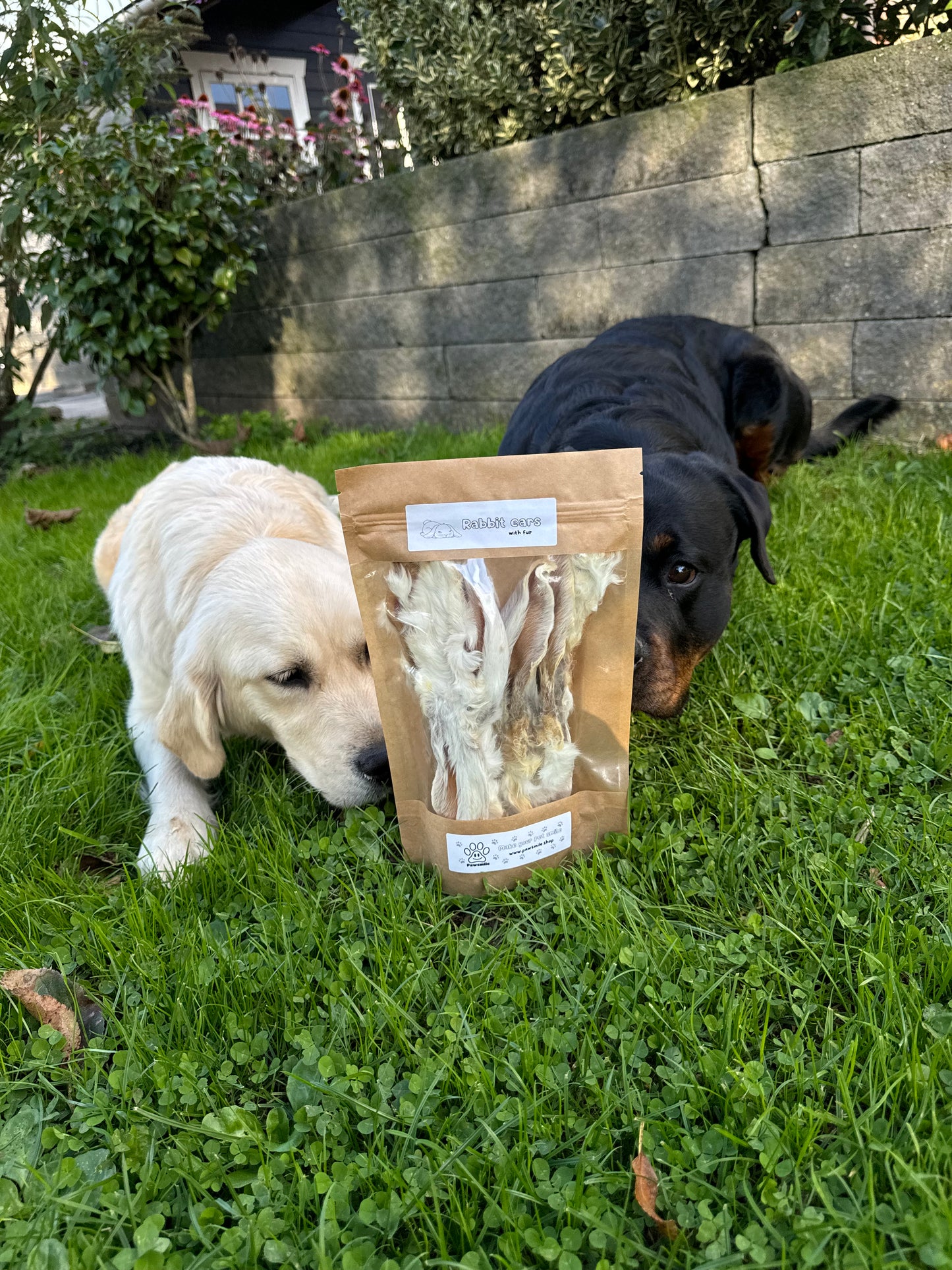 Konijnenoren snacks