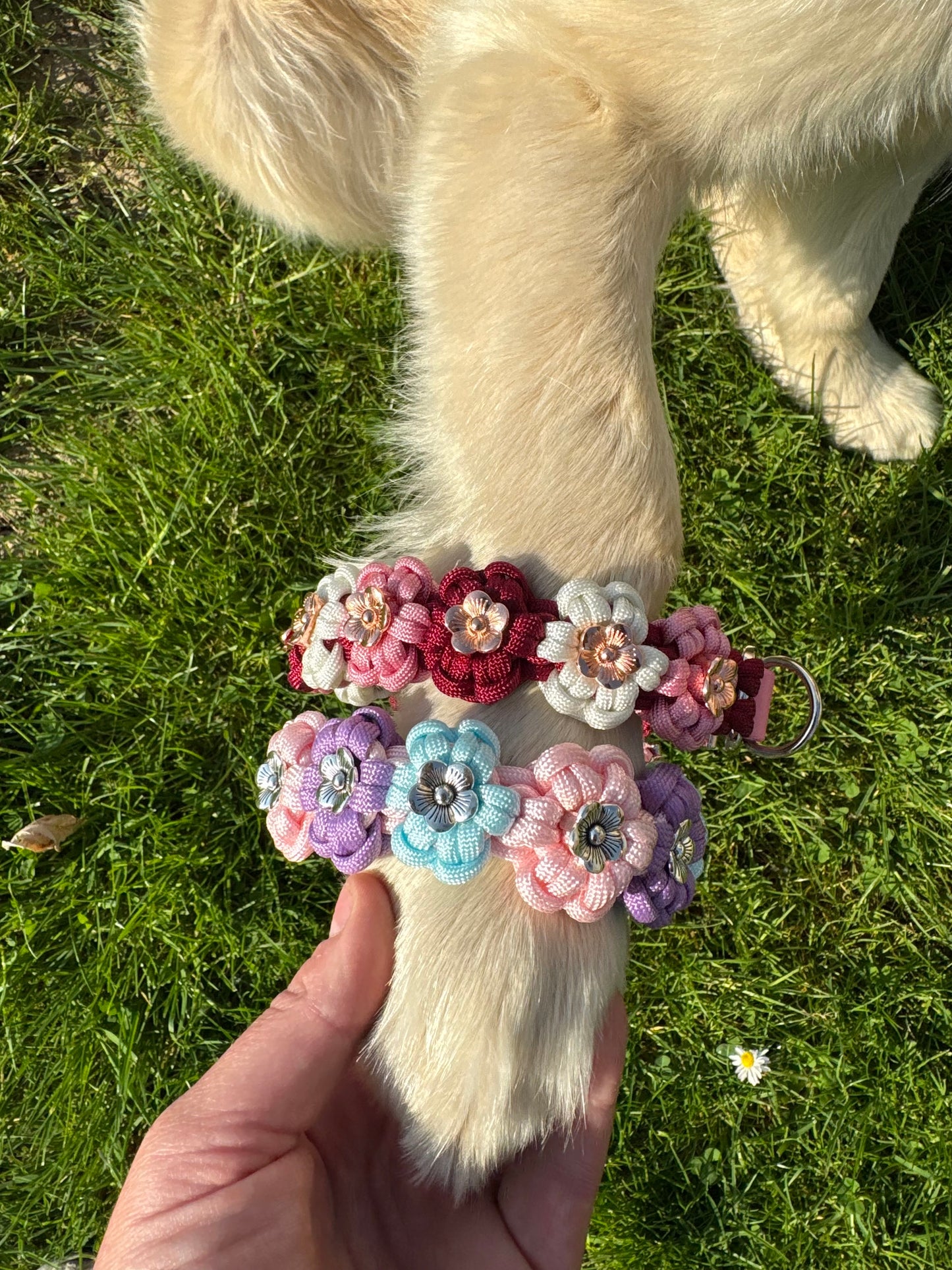Bloemenhalsband Cherry Blossom