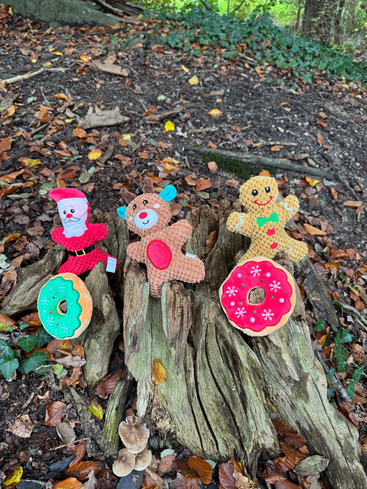 Kerstman hondenspeeltje