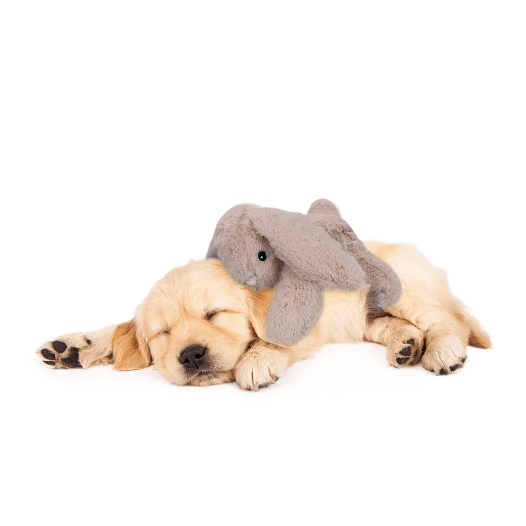 Cozy hondenspeeltje - Kalmerend en anti-stress!
