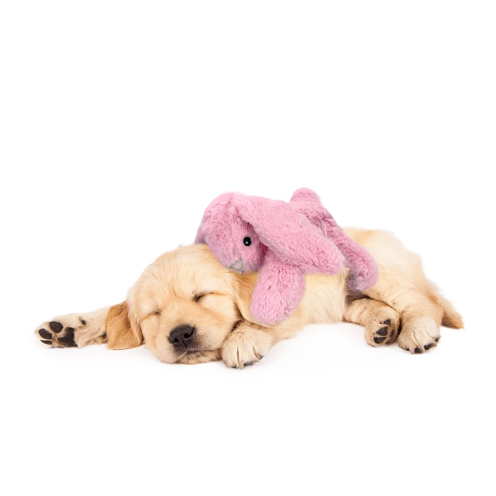 Cozy hondenspeeltje - Kalmerend en anti-stress!