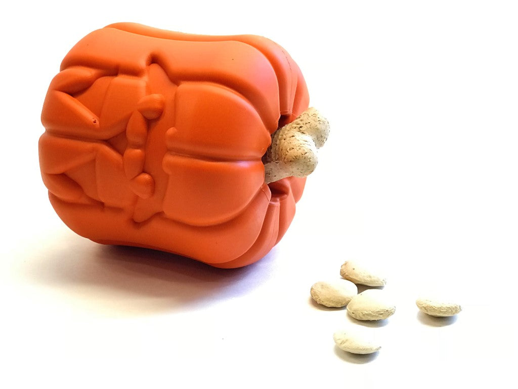 Jack O’ Lantern pompoen dispenser hondenspeeltje