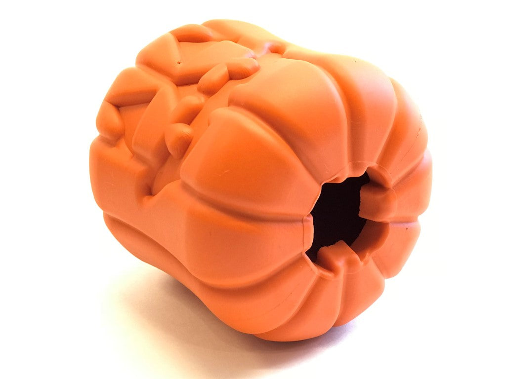 Jack O’ Lantern pompoen dispenser hondenspeeltje