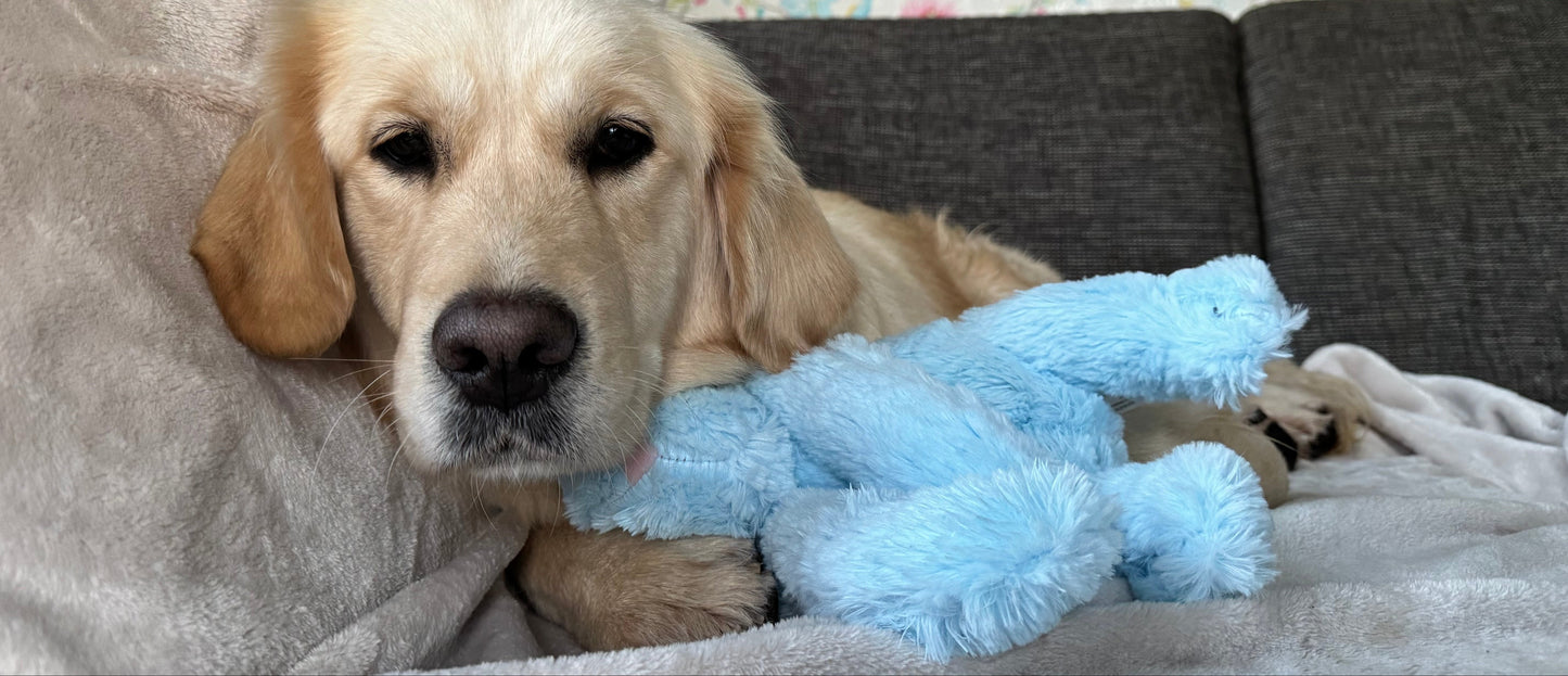 Cozy hondenspeeltje - Kalmerend en anti-stress!