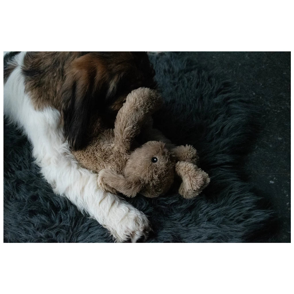 Cozy hondenspeeltje - Kalmerend en anti-stress!