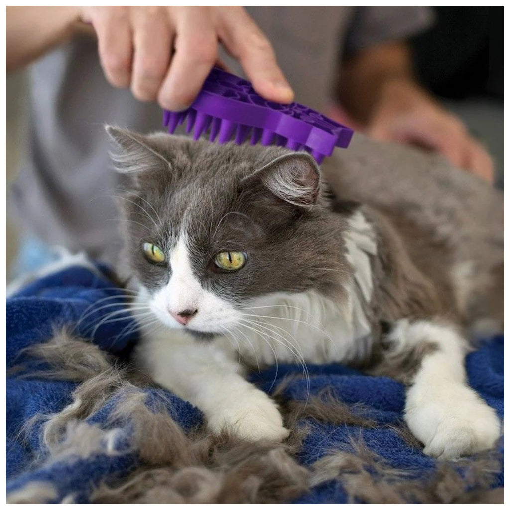 KONG kattenborstel ZoomGroom