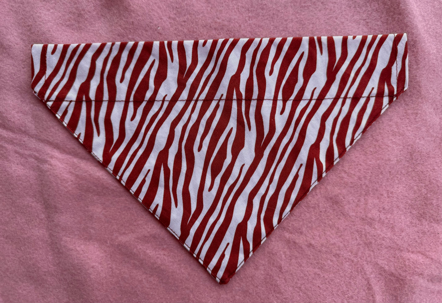 Wild Whiskers – Bandana met Terracotta Print