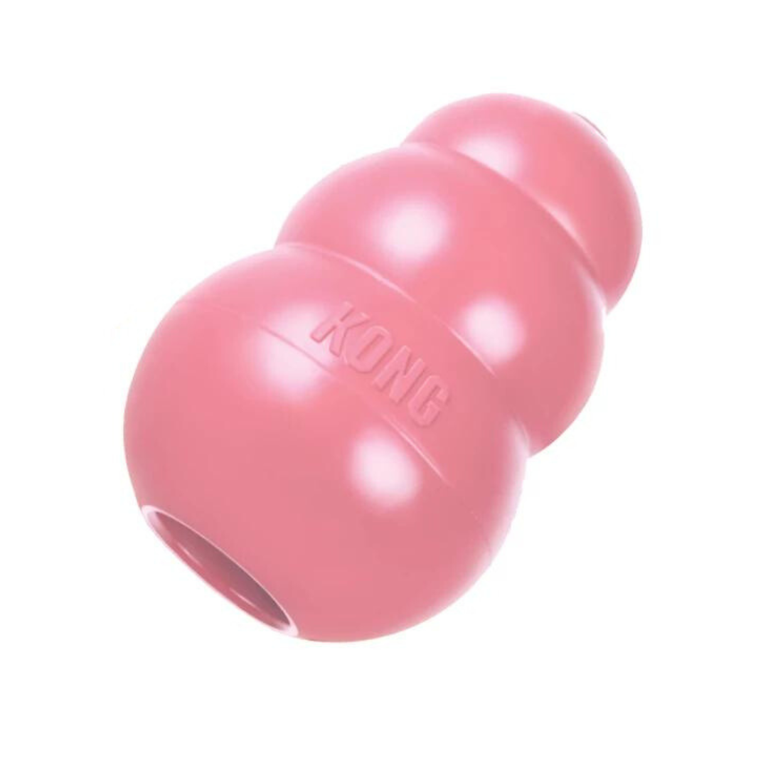 Kong Puppy L Pink/Blue