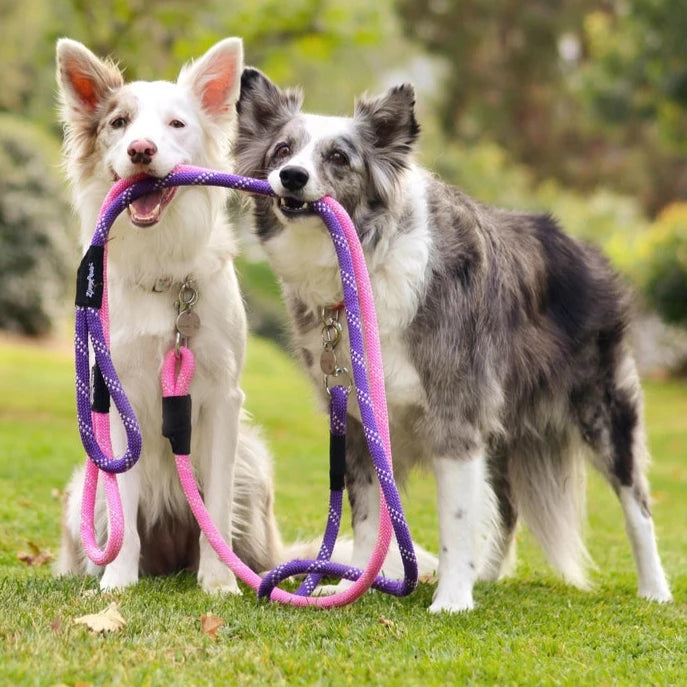 Hondenriem climbing rope - Roze