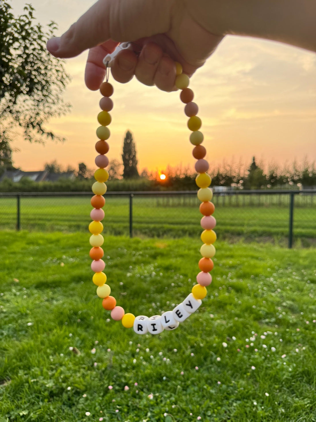 Waar kan ik een gepersonaliseerde halsband bestellen in nederland?