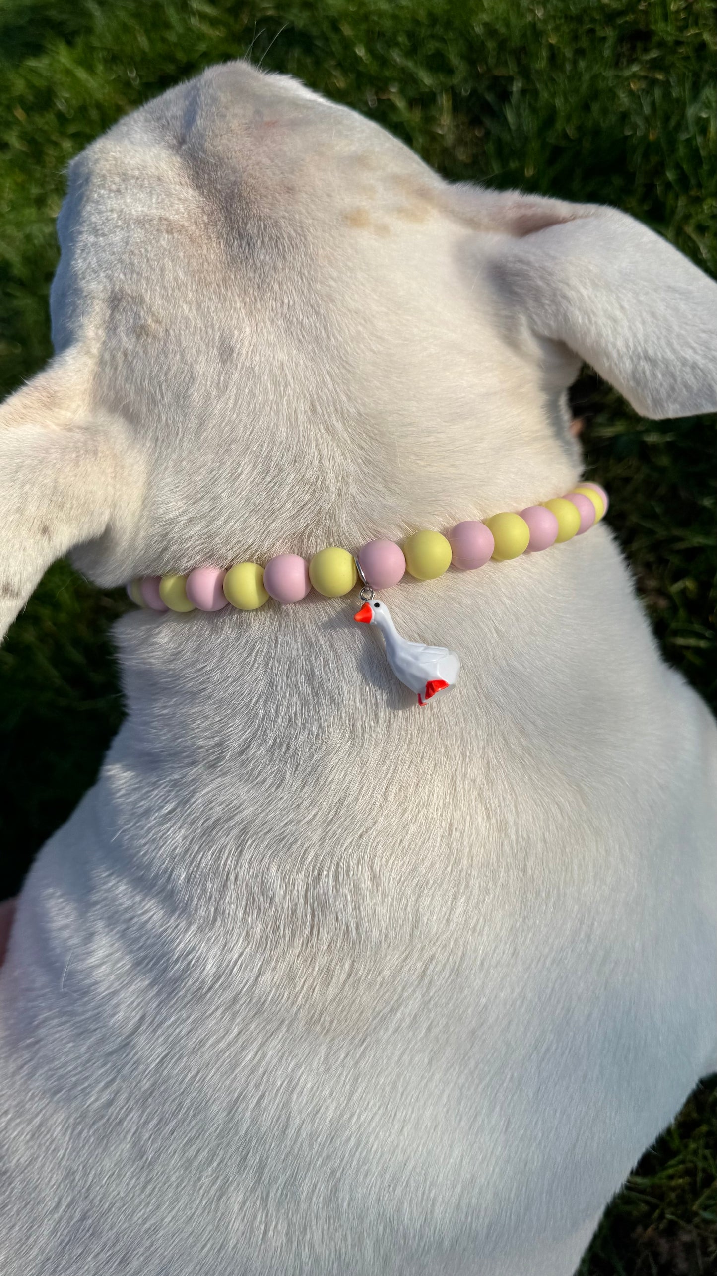 Pastel Goose - waterdichte hondenketting
