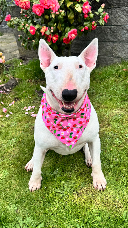 Strawberry fields - knoopbandana