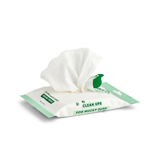 Bamboo Travel Wipes - Unscented - 20 Pack