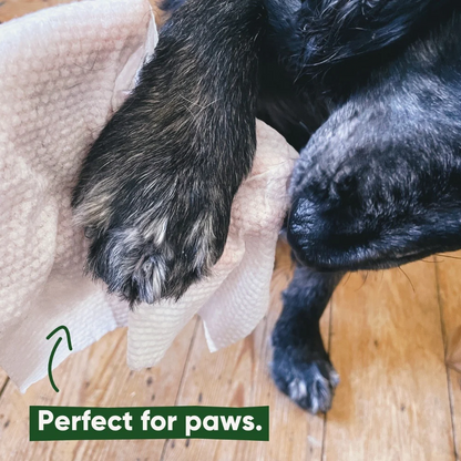 Bamboo Travel Wipes - Unscented - 20 Pack