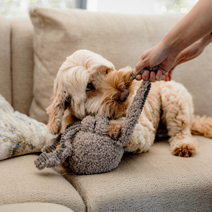 Squid hondenspeeltje