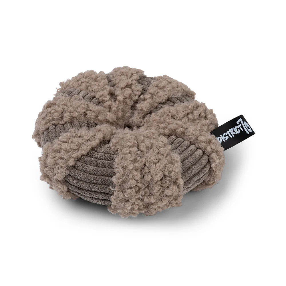 Daisy snuffelspeeltje