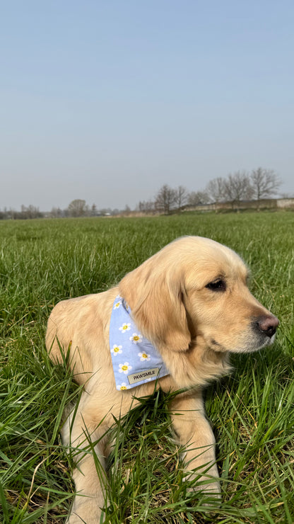 Smiling Daisies – Blauwe Daisy Bandana
