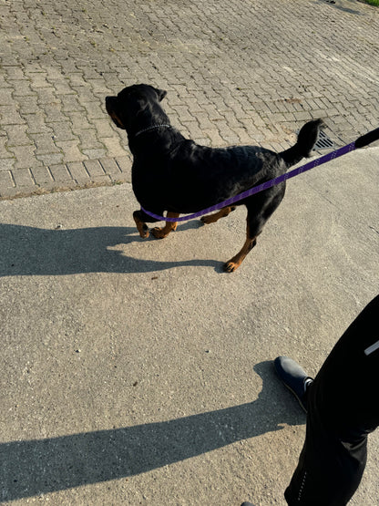 Hondenriem climbing rope - Paars
