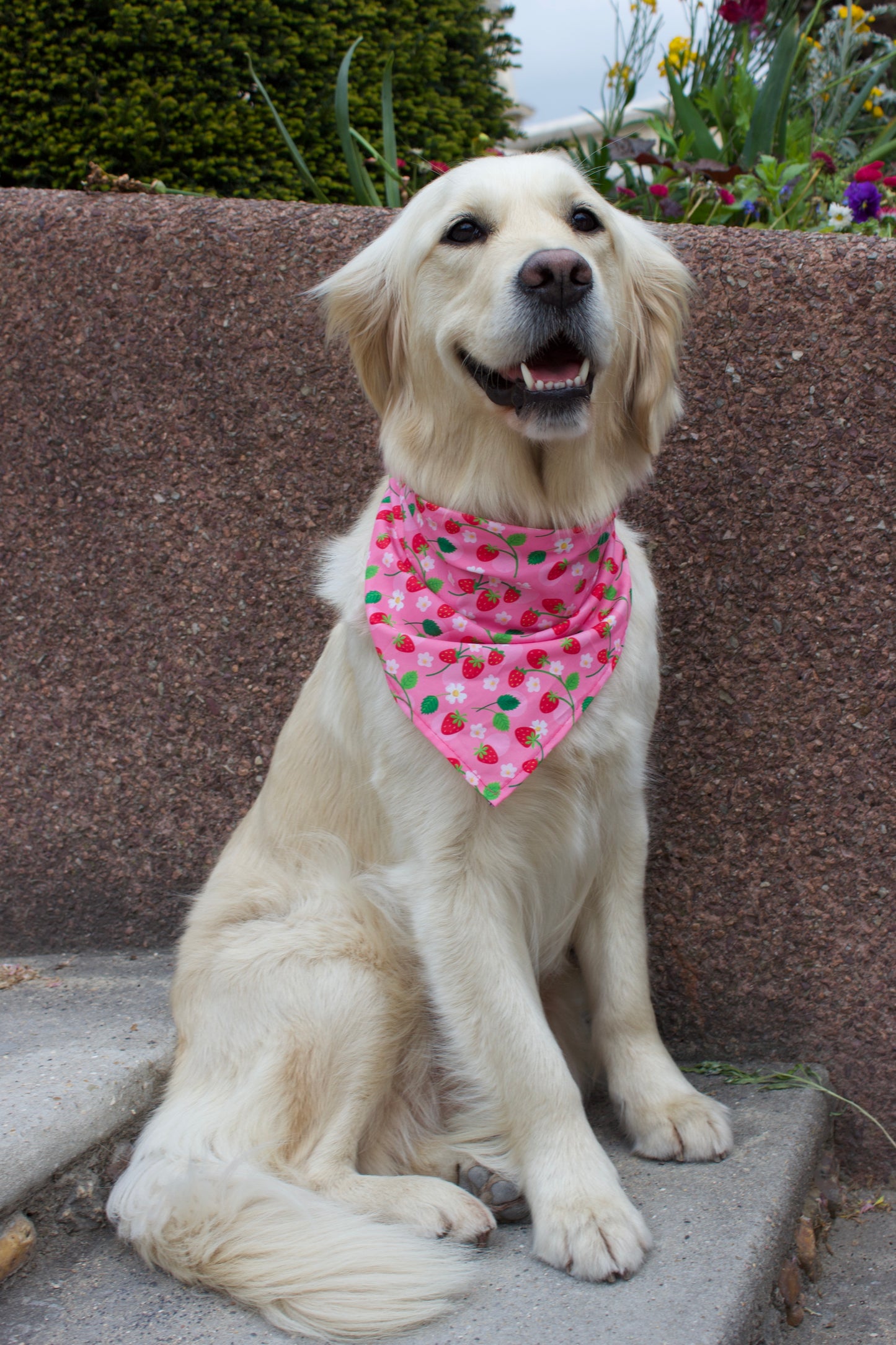 Strawberry fields - knoopbandana