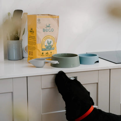 Steady dog bowl - Beco