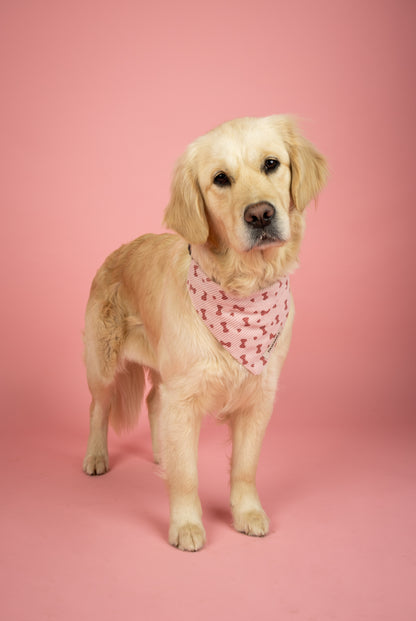 Coquette Paws Scrunchie – Scrunchie van Roze Ribstof met Strikjes