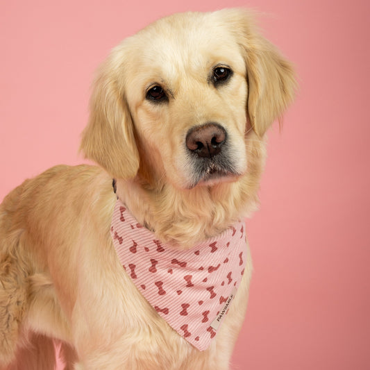 Coquette Paws – Roze Ribbel Bandana met Strikjes