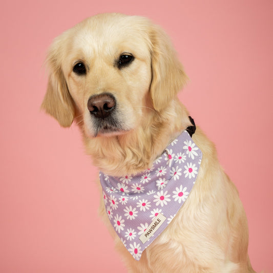Daisy Dream – Lichtpaarse Ribstof Bandana met Madeliefjes