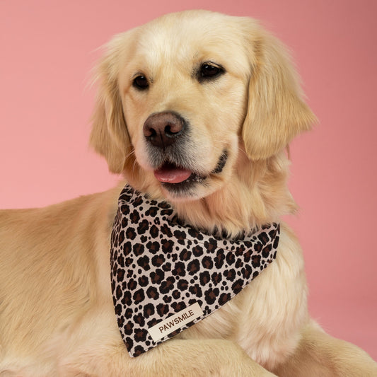 Roar and Shine – Panterprint Bandana