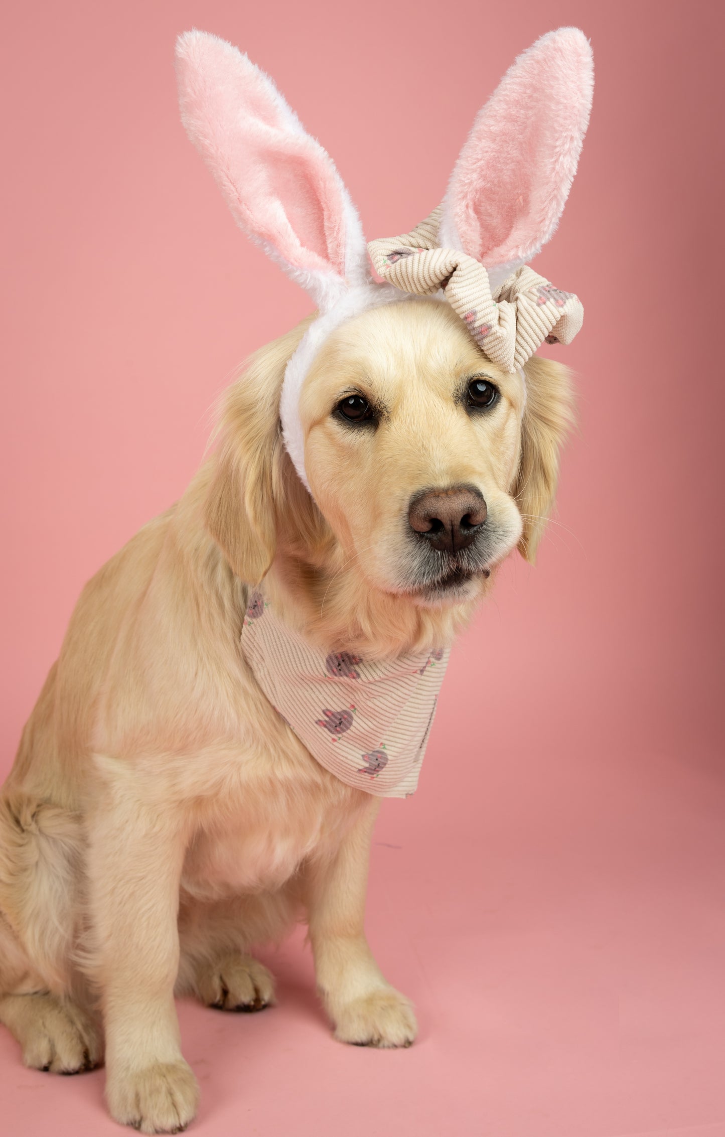 Bunny Blooms Scrunchie – Scrunchie met Konijntjes en Bloemetjes