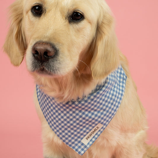 Blueberry Picnic – Blauwe Geruite Bandana