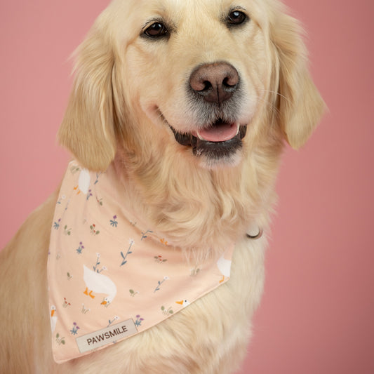 Goose Garden – Bandana met Gansjes en Bloemetjes op Lichtroze Stof