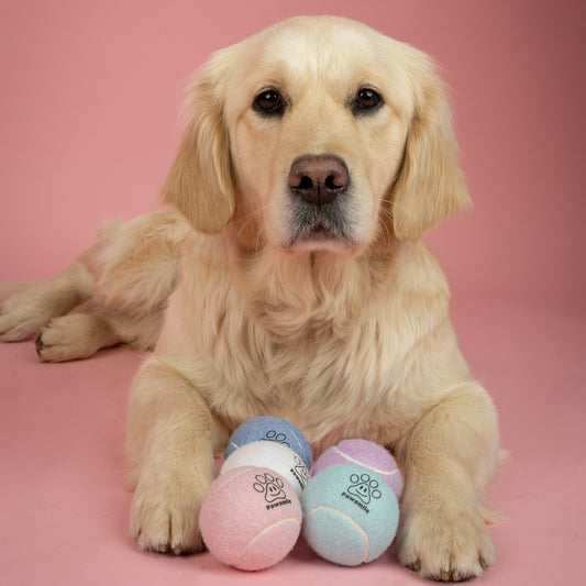 Tennisballen - Rocky's Favo's